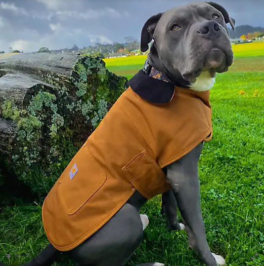 Carhartt Dog Chore Coat